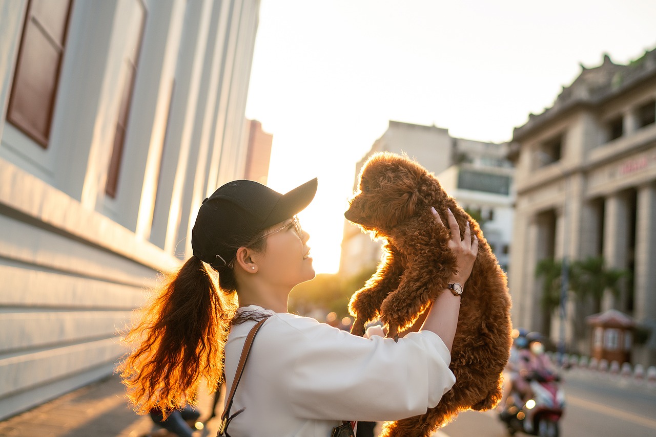 How to Use Your Pet's Travel Experiences for Social Media Content